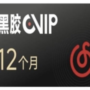 网易云音乐 黑胶VIP会员年卡 12个月