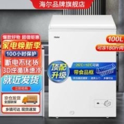 Haier 海尔 深冷微霜 100升家用小型冷柜 大容量抑菌冰柜