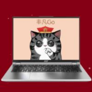 京东百亿补贴：宏碁（acer）非凡Go Pro 13代酷睿标压轻薄本 14英寸2.8K 120Hz屏