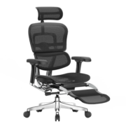 保友办公家具（Ergonor）金豪e 2代高端人体工学椅电脑椅办公椅电竞椅 黑色Q4.0网+躺舒宝