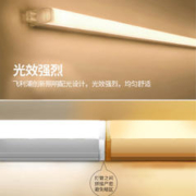 PHILIPS 飞利浦 T5LED灯管 0.3米