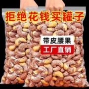 周皮皮 新货盐焗味紫皮腰果仁250g