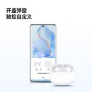 HONOR 荣耀 LCHSE X5s蓝牙耳机