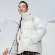 需首单：SNOW FLYING 雪中飞 短款立领 纯色羽绒服 颜色任选