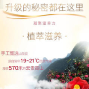 SLEK 舒蕾 山茶花洗发600g+沐浴露600g+260g