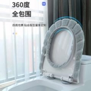 天降1.1入手 马桶垫
