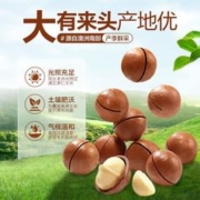 88VIP会员：BESTORE 良品铺子 澳洲夏威夷果罐装400g