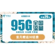 中国电信 5G长期翼卡B 29元/月
