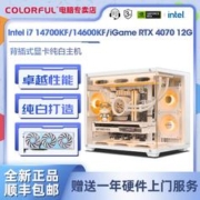 COLORFUL 七彩虹 Intel i7 14700KF/14600KF/RTX4070电竞游戏DIY电脑组装机