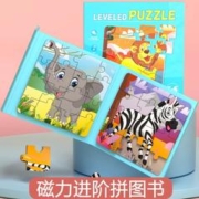 DALA 达拉 三合一磁性进阶拼图