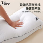 礼遇季：Disney 迪士尼 A类抗菌枕头 72*46cm一对拍2
