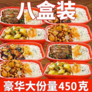 自热米饭 红烧牛肉煲仔饭 450g*8盒