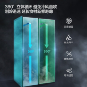 新飞（Frestec）617升风冷无霜对开门家用冰箱大容量多维负离子生态除菌干湿分储变频一级BCD-617WK9AT
