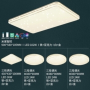 雷士（NVC） LED吸顶灯 智能客厅灯大气现代简约卧室灯轻奢满天星全屋卧室灯 荐【四室一厅】智控客厅+卧室*4