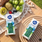 雀巢 限定牧场系列 纯牛奶 250mL*12瓶