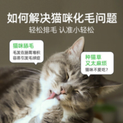 小壳（CATURE）小轻松冻干猫草棒 猫咪化毛球专用零食冻干 排吐毛球化毛片化毛膏 1盒（25包）鸡肉味
