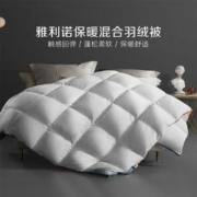 10日0点、PLUS会员：BLISS 百丽丝 白鹅绒四季被 150cm×210cm