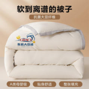 GRACE 洁丽雅 A类抗菌大豆纤维加厚冬被 6斤 200*230cm