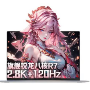 京东百亿补贴：机械革命无界14 旗舰高性能轻薄笔记本电脑 全面屏游戏本