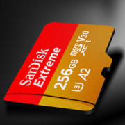 SanDisk 闪迪 Extreme 至尊极速移动系列 MicroSD存储卡 256GB（U3、V30、A2）