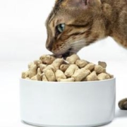 Myfoodie 麦富迪 BARF生骨肉系列 猫零食 牛肉冻干 200g