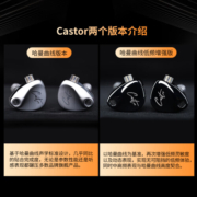 KZ CASTOR 有线耳机入耳式双元动圈 高解析hifi耳机游戏吃鸡听歌运动可换线耳机 哈曼版 标准版