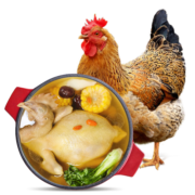 温氏供港老母鸡1.2kg 散养富硒老母鸡 冷冻 走地鸡500天月子鸡汤