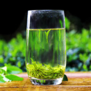 乐品乐茶 茶叶2023新茶 特级毛尖绿茶明前春茶嫩芽春尖茗茶礼盒装250g