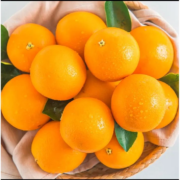 京东百亿补贴：土八鲜江西赣南脐橙 王者橙10斤装【单果330-450g】礼盒装