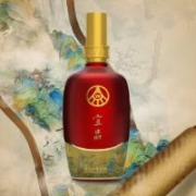 需首单：五粮液 仙林生态 宜品 千里江山 52度500ml*2瓶