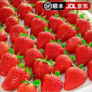 田良季 红颜99 奶油草莓 3斤装 特大果（单果20-25g）