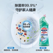 Kao 花王 进口花王洁厕灵马桶清洁剂厕所清洗液除菌除垢除臭留香500ml*3瓶 1件装