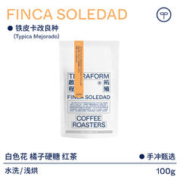 拥抱新技术，拥抱新豆种：TERRAFORM COFFEE ROASTERS 啟程拓殖 厄瓜多尔 铁皮卡改良种 水洗 100g