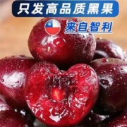 樱鲜 智利车厘子JJJJ礼盒装空运大樱桃水果 车厘子 4J（32-24）4斤