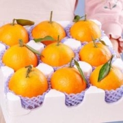 姬幻 特大果 正宗爱媛38号果冻橙 9斤装 （下单拍2件合发9斤装）