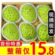 醉美味 释迦果牛奶凤梨现摘新鲜水果2斤单果200g起番荔枝