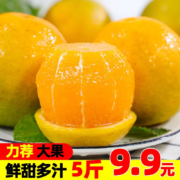 京喜特价：果果牛 麻阳冰糖橙  5斤