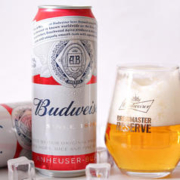 Budweiser 百威 经典醇正 500ml*12罐