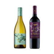 红魔鬼 干露魔神系列葡萄酒750ml 单支装