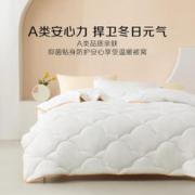 BLISS 百丽丝 七孔透气抗菌被 冬被 200cm×230cm