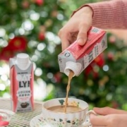OATLY多口味即饮燕麦拿铁低糖咖啡250ml*6