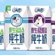 27日10点、限5000件、聚划算百亿补贴：史迪奇 伊利QQ星 原生DHA纯牛奶 125ml*16小盒