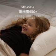 29日20点：SIDANDA 诗丹娜 2-10岁儿童全95白鹅绒枕 升级款 附带澳洲长绒棉枕套 40*65cm(建议6-10岁)