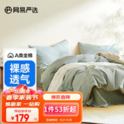 YANXUAN 网易严选 有氧纯棉四件套A类 多肉青提（果绿）100%全棉 1.8m床：2.2*2.4m被芯