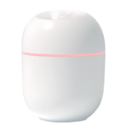 CTDOCKING 加湿器 0.22L 白色