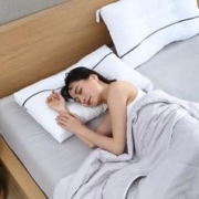 YANXUAN 网易严选 轻草本，决明子苦荞防螨花草对枕（2只装）