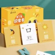 FENG'S ZAOJIAO 冯式早教 早教识字卡片 100张