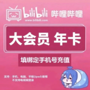 bilibili 哔哩哔哩 大会员年卡 12个月