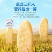88VIP会员：小鹿蓝蓝 婴儿米饼原味宝宝零食辅食儿童磨牙饼干32g x1袋