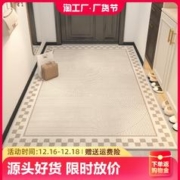 8aa 入户门进门地垫大门口玄关门前脚垫家用除尘可裁剪地毯吸水防滑